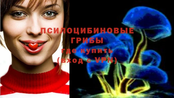 бошки Вязьма