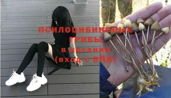 Альфа ПВП Вяземский