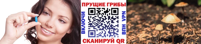 KRAKEN вход  купить  сайты  Емва  нарко площадка формула  Псилоцибиновые грибы прущие грибы 